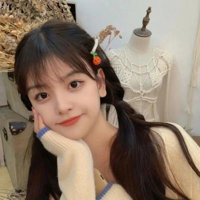 乌龙巡警 在线观看